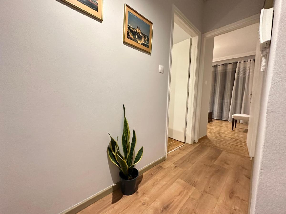 Ano Patisia Cosy Apartment II Athen Eksteriør bilde